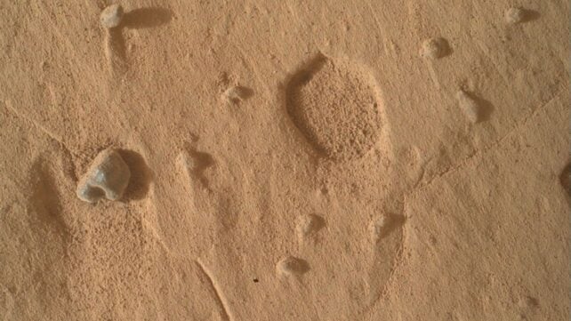 NASA Found Strange Holes on Mars. Scientists Aren't Sure What Made Them.
