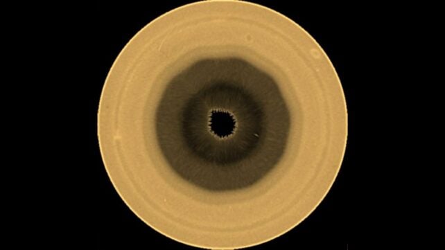 Astronomers Spot an Uncannily Geometric, 10-Sided Structure in Saturn's Atmosphere