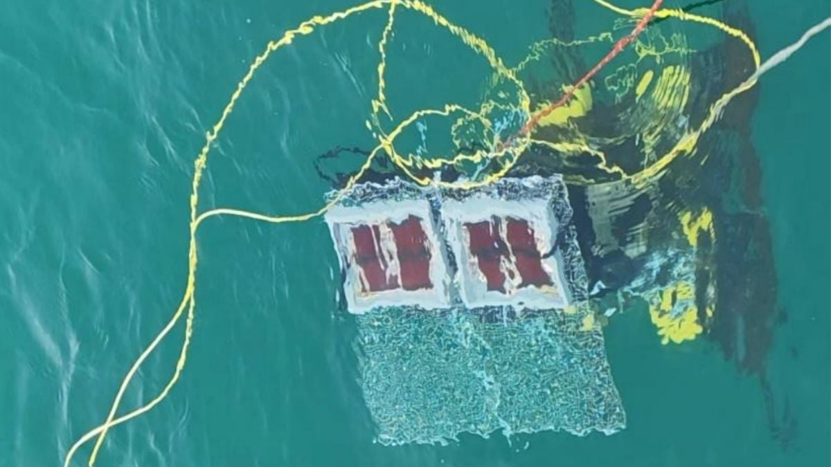 Scientists Successfully Test Underwater Solar Cells 32 Feet Below The South China Sea