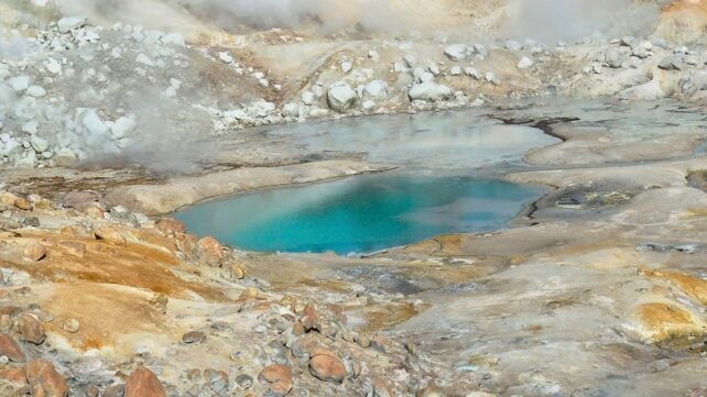 Volcanic Springs Amoeba Survives 63 &deg;C, Setting a New Heat Record For Complex Life