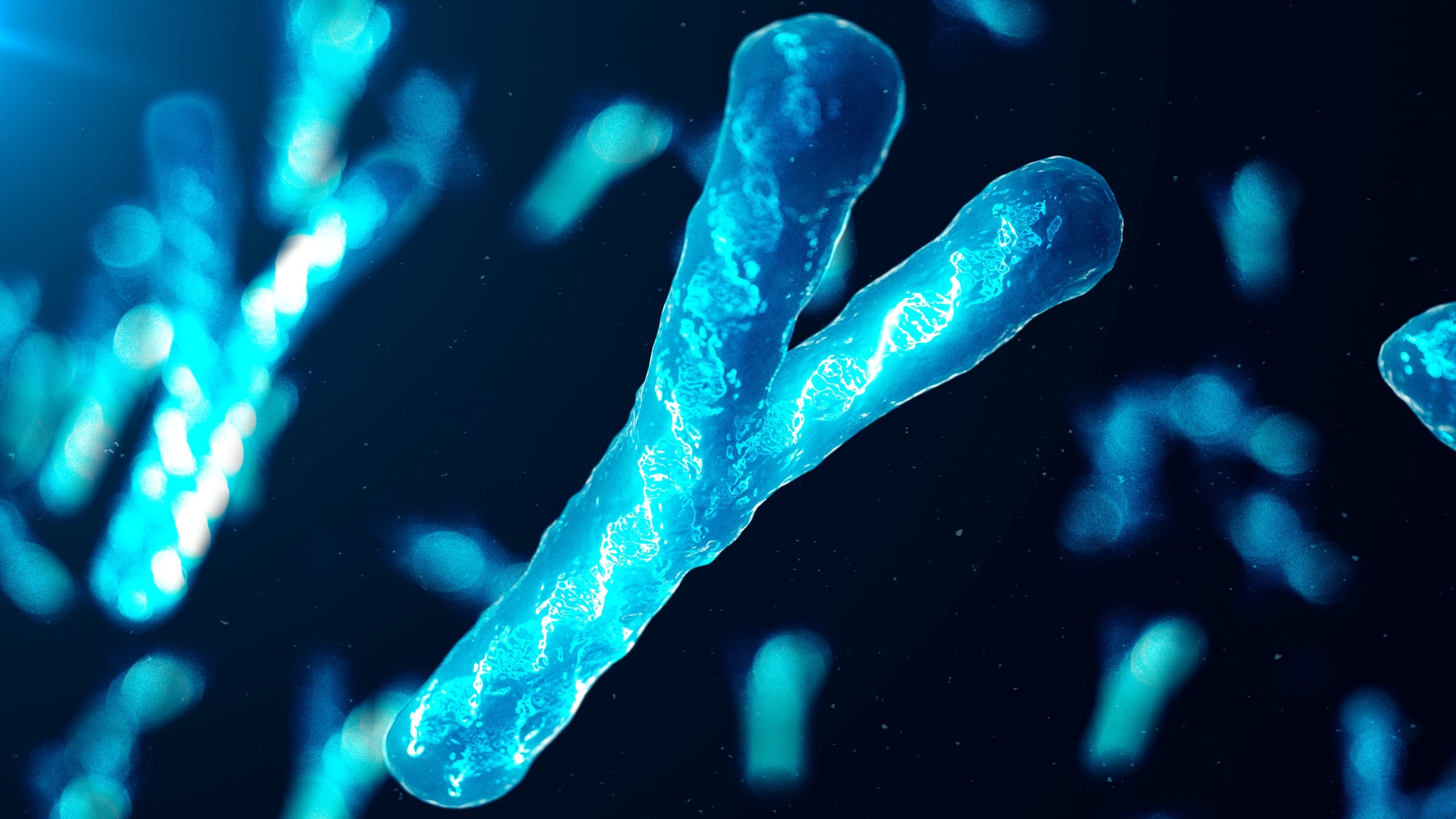 Ztráta chromozomu Y může v okolí nádorů mužů signalizovat riziko rakoviny
