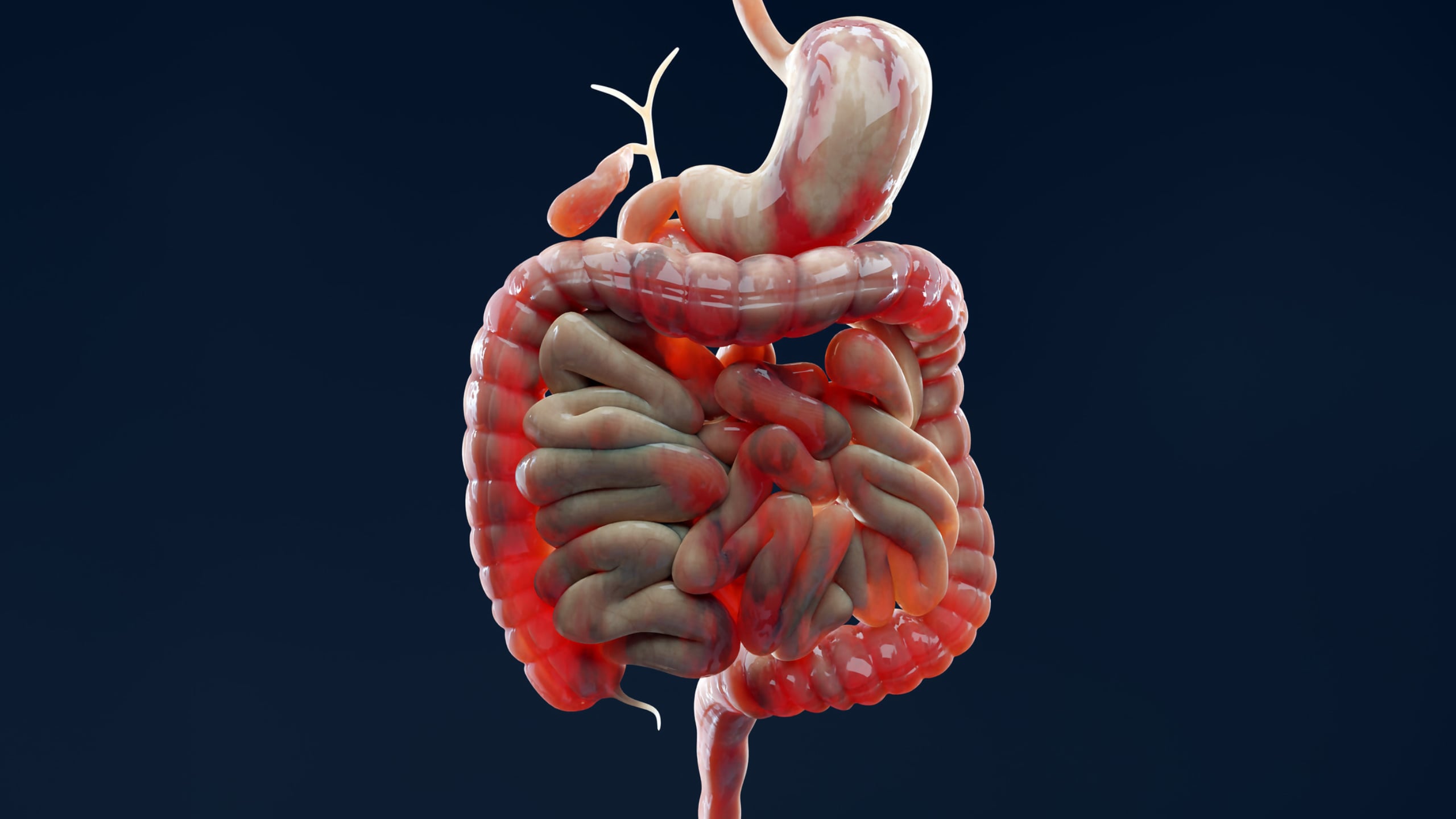 www.sciencealert.com image