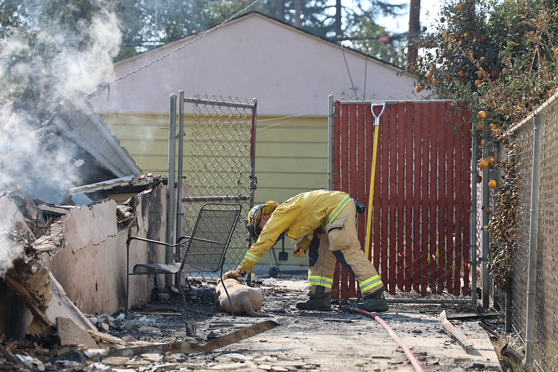 LA Eaton Fire Plumes Exposed Millions of Residents To Lead 80 Times Greater Than Background Levels, Scientists Find