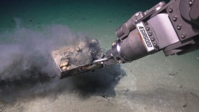Scientists Dug Into a Weird Patch on The Seafloor. They Unearthed a Watery Grave