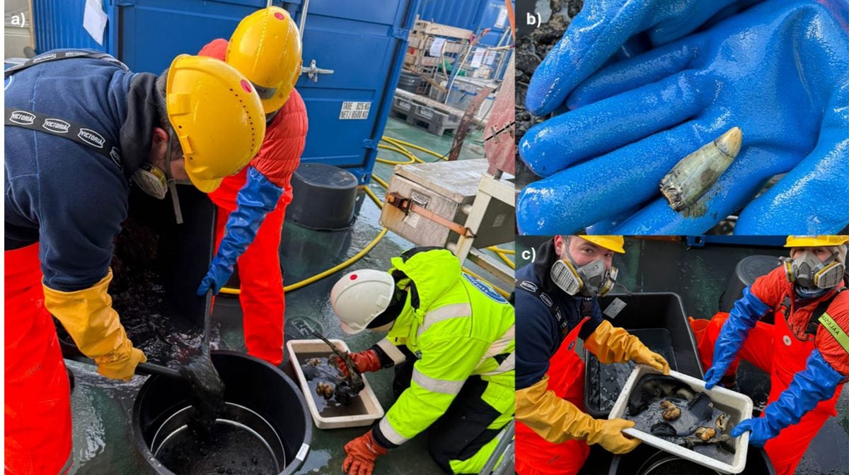 Scientists Investigated a Weird Patch on The Seafloor. They Unearthed a Watery Grave