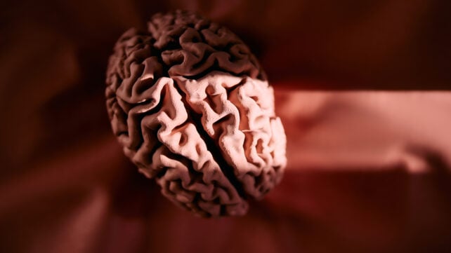 Brain wasting away