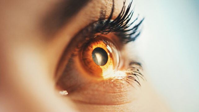 Close up of an eye