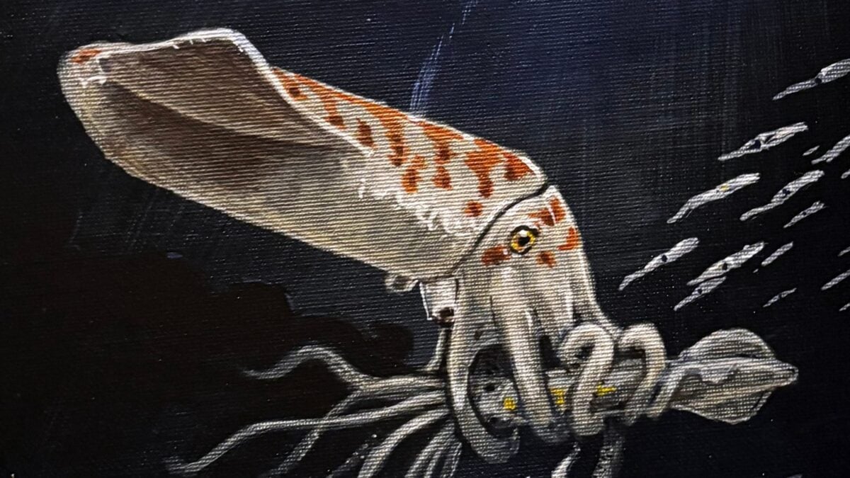 Scientists Found One of The 'Chunkiest' Squid-Like Creatures Ever Known