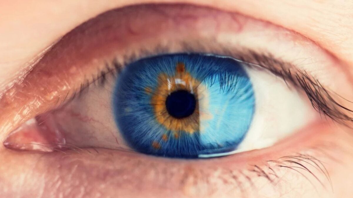 Partial Vision Restored in Some Blind Patients With New Experimental Treatment