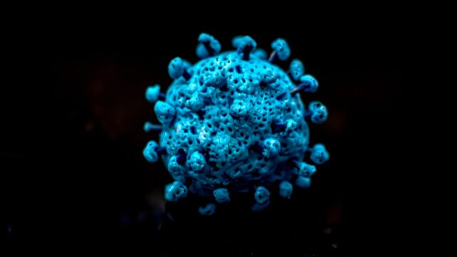 Almost All The Viruses Found in a Vast Deep-Sea Mining Zone Were New to Science⁠