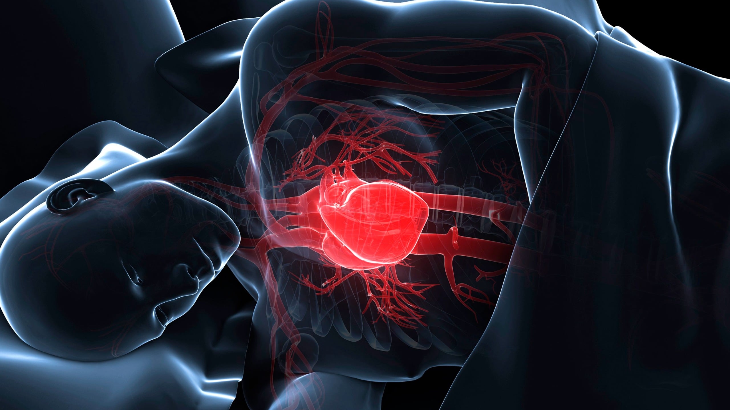 AI Uses Sleep ECGs to Predict Long-Term Cardiovascular Risk