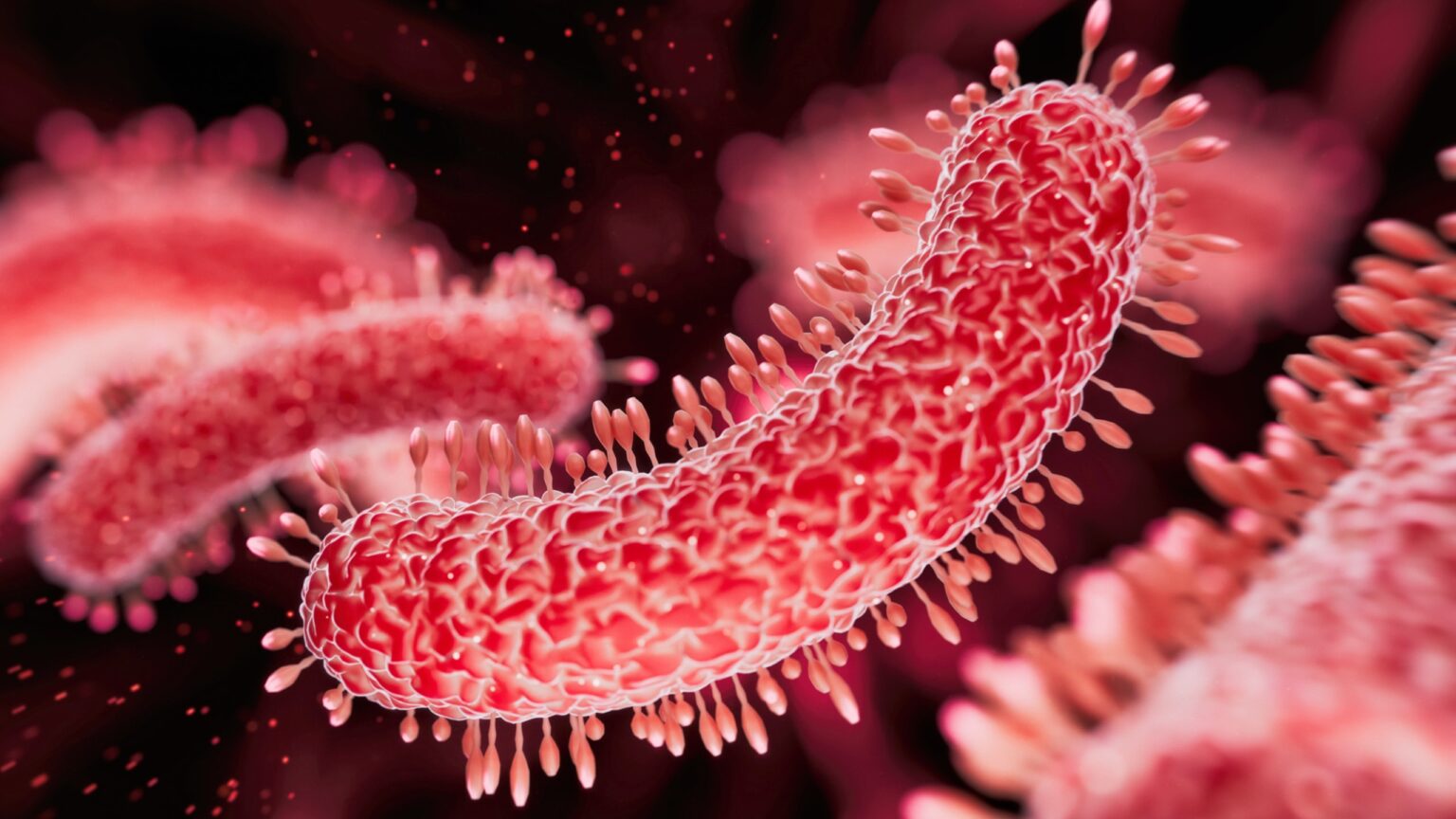 Sexually Transmitted Diarrhea Is Exploding in The US. And It's Growing ...