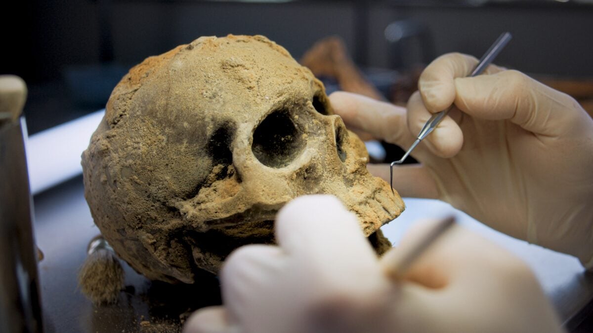Skulls of Civilians Buried Around Egypt's First Kings Reveal Evidence of Human Sacrifice 5,000 Years Ago
