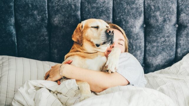 Think Your Dog Disturbs Your Sleep? It May Be The Other Way Around