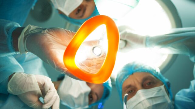 Your Brain Under Anesthesia Behaves Surprisingly Like a Worm's, Scientists Discover