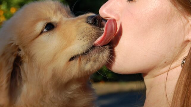 Your Dog's Mouth May Be Crawling With Human-Associated Parasites