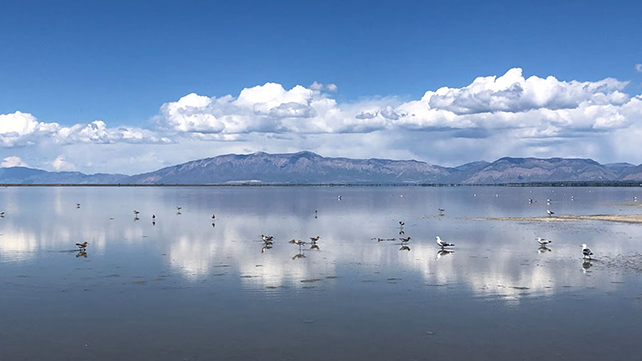 Utah's Great Salt Lake