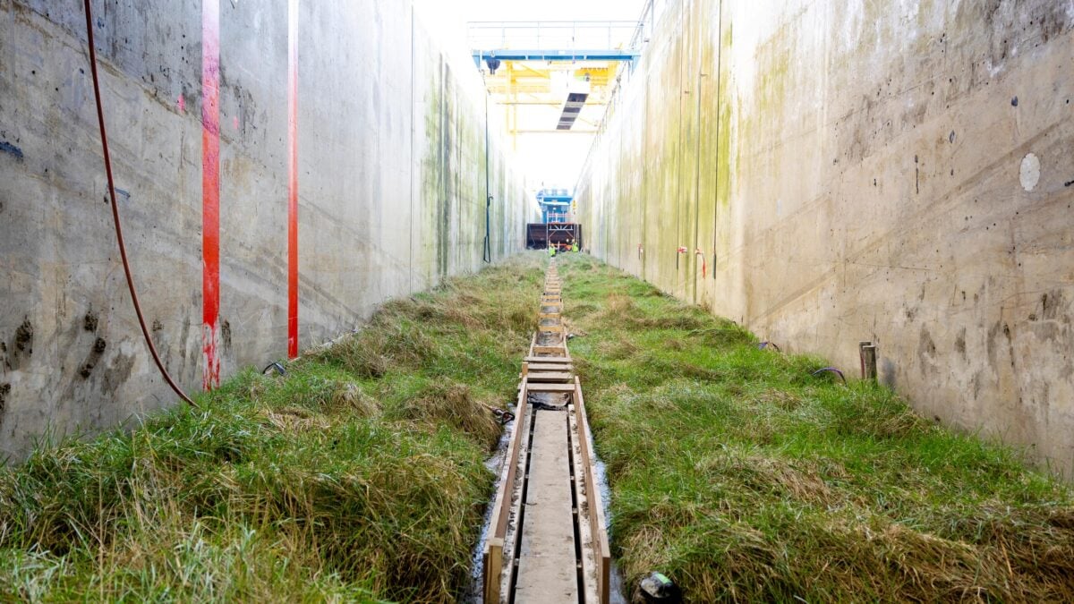 Scientists test salt marsh resilience by placing 306 square meters in a giant wave machine