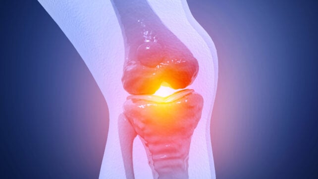 Pain in knee joint