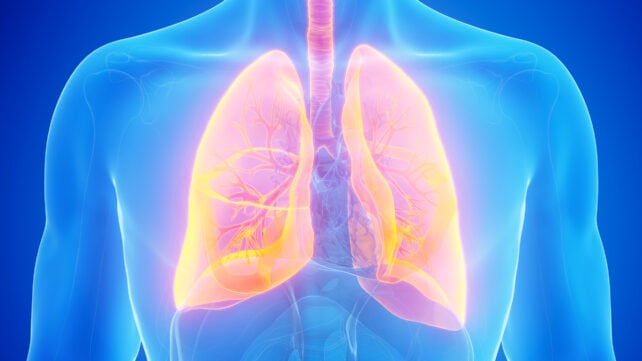 Lung illustrations