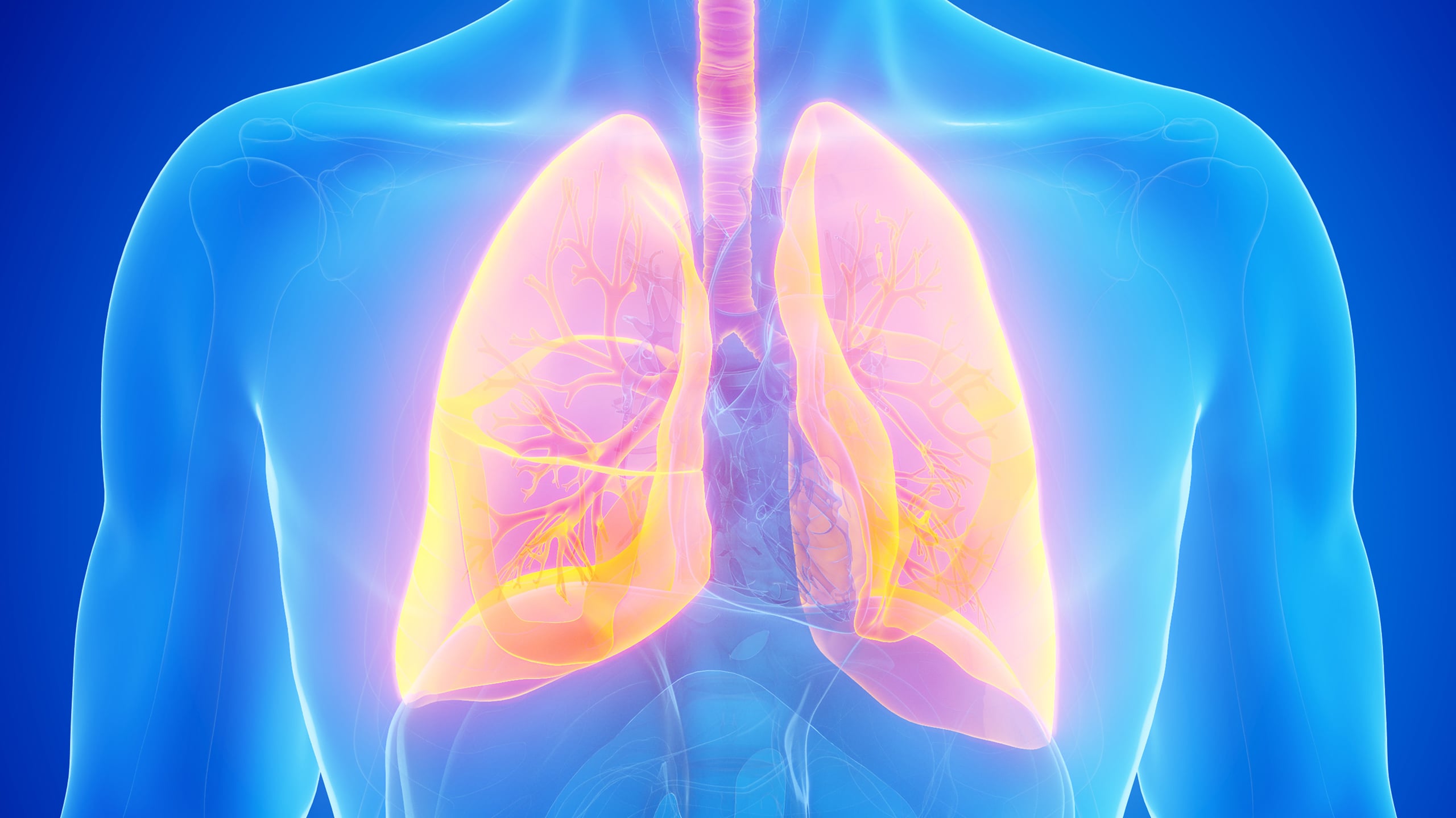 Immune cells kill small cell lung cancer in lab tests