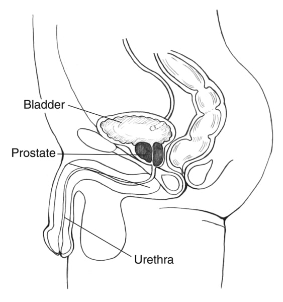 Does It Matter if Men Pee Sitting or Standing? A Randomized Test Has an Answer⁠