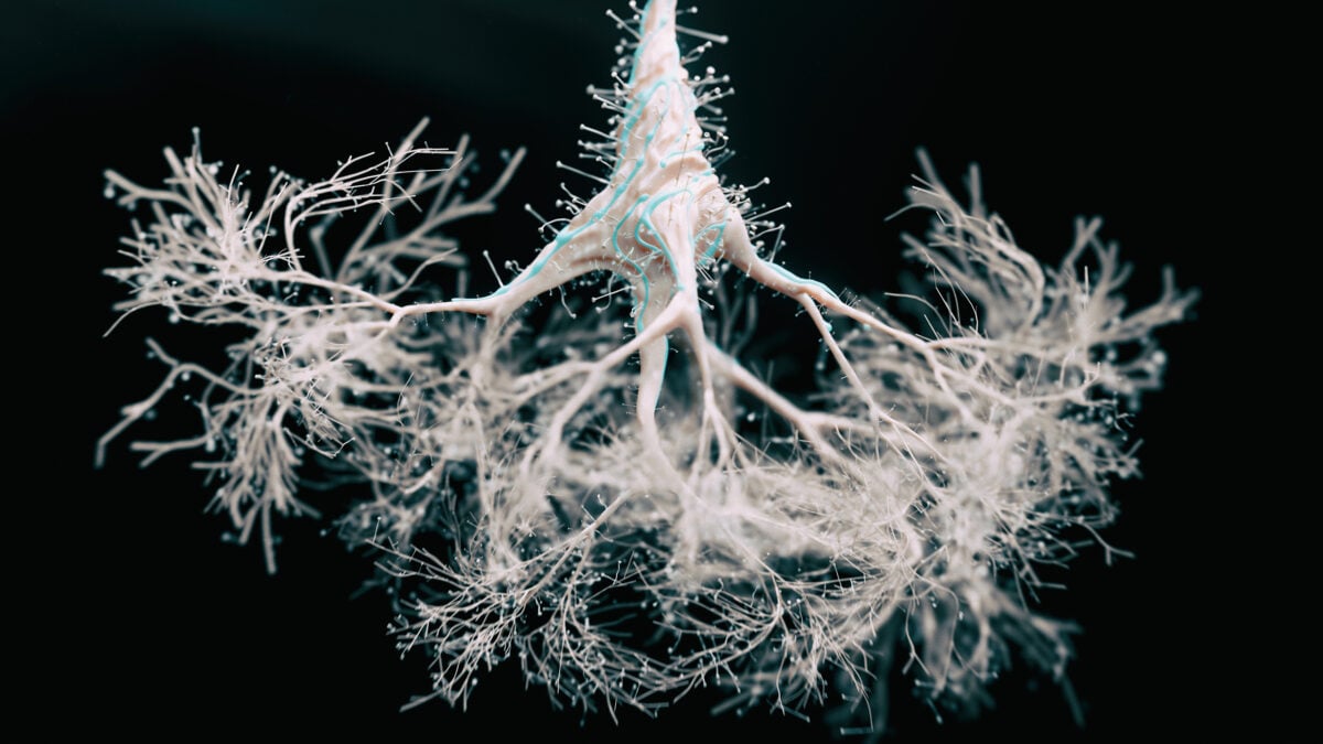 WATER FLAGGED AS HIDDEN TRIGGER IN ALZHEIMER'S SPREAD