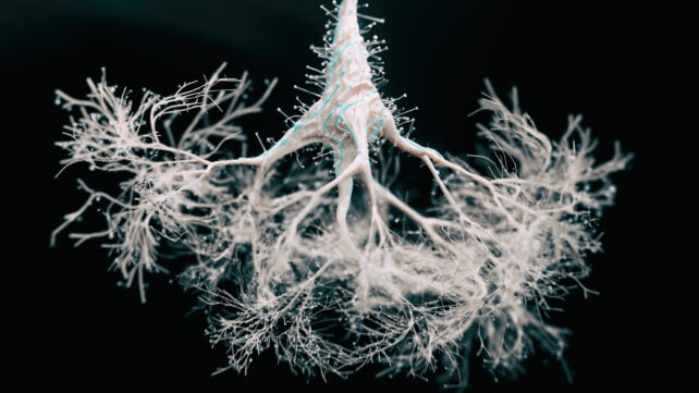 Neuron graphic