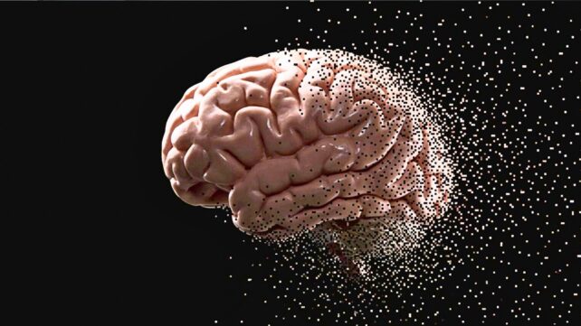Alzheimer's Protein Just Behaved Exactly Like a Prion in Mouse Brains