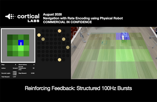 Robot dog trial