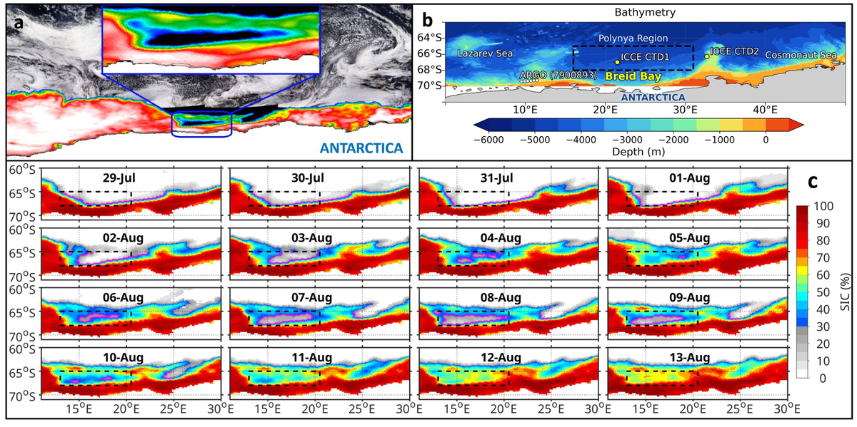 A Vast Hole Almost The Size of Portugal Opened in Antarctic Winter Sea Ice. Now We Know Why.