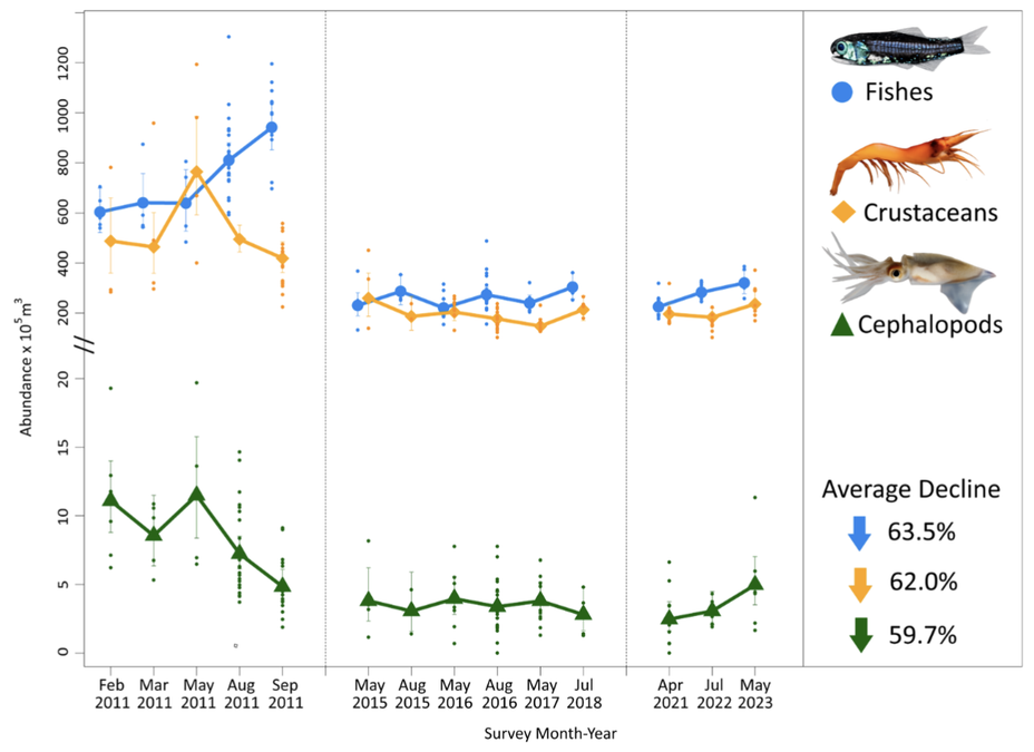16 Years After Deepwater Horizon Spill, Deep Sea Life in The Gulf of Mexico Shows No Sign of Recovery