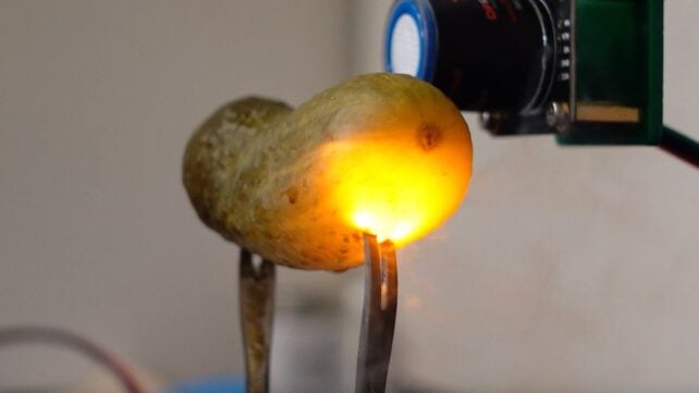 Physicists May Have Finally Figured Out Why Pickles Glow