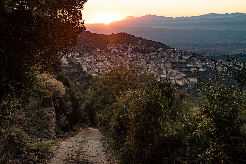 Scientists Identify a Small Village in Italy Where Women Live Exceptionally Long Lives