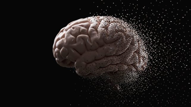 Scientists Watched Human Dementia Proteins Spread Through Mouse Brains Like Prions