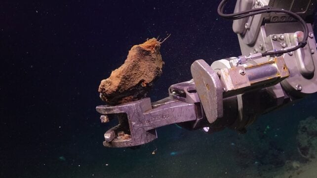 Scientists Collected Deep-Sea Rocks. They Spontaneously Caught Fire in The Lab.
