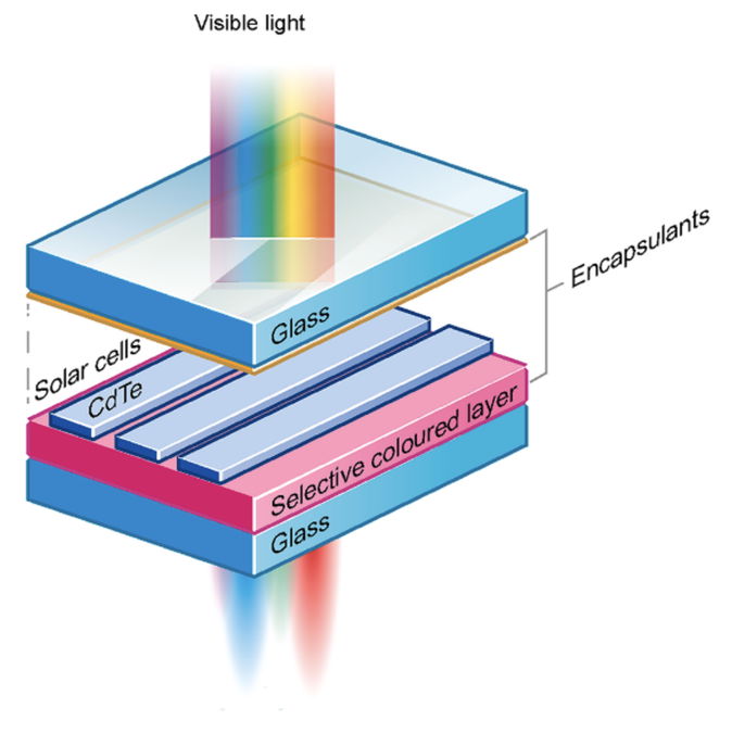Rose-Tinted Solar Panels Can Co-Exist Over Crops, Study Shows