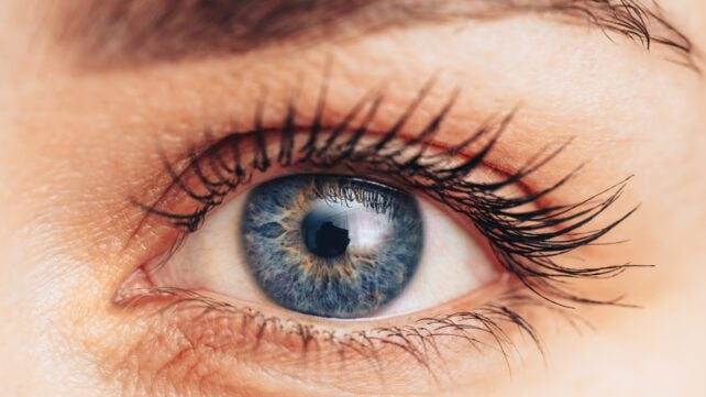 Talking Inside Your Head Changes Your Pupils in a Totally Different Way to Talking Out Loud