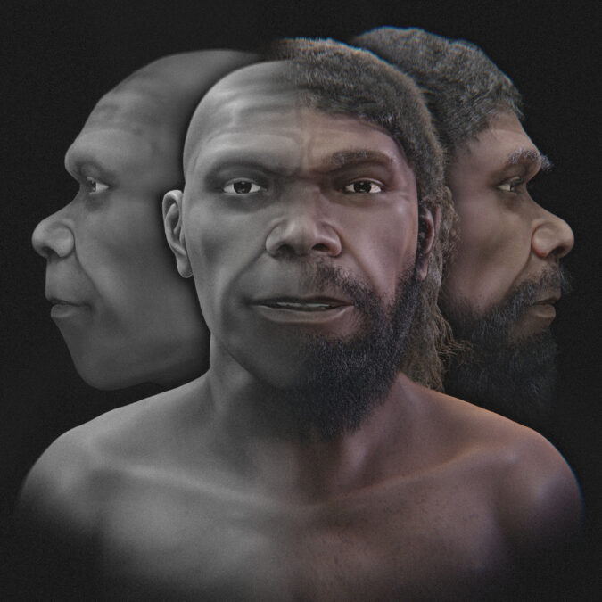 A montage showing different renderings of the digitally approximated Jebel Irhoud face.