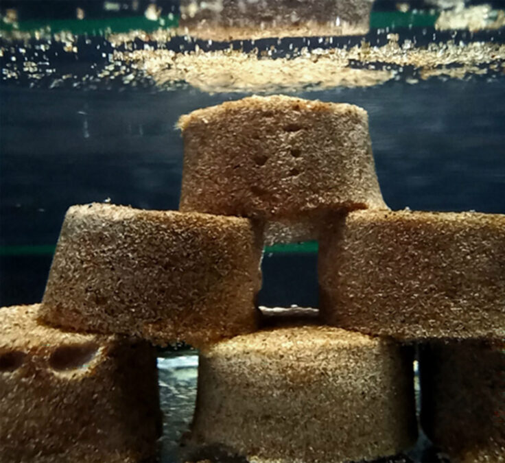 Cylindrical sand samples stacked underwater without falling apart.