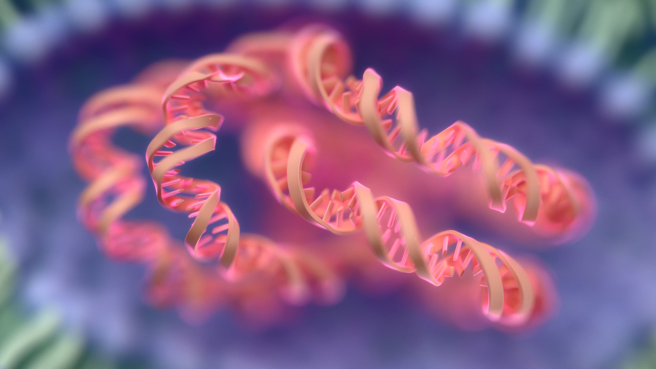 Excess RNA Can Damage Mitochondria and Starve Cells of Energy