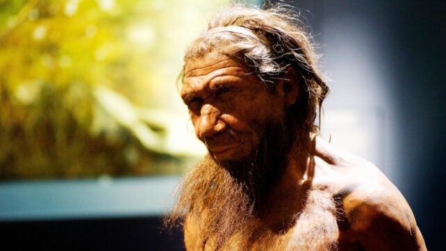 Archaeologists Uncover Unprecedented Evidence of Neanderthal Woodworking Skills