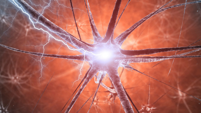 Mice With Parkinson's-Like Brain Changes Unexpectedly Recovered a Year Later