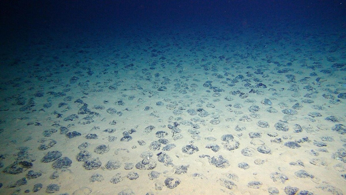 Scientists Exploring The Deep Ocean Find a Plethora of Unknown Viruses Amidst The World's Largest Polymetallic Nodule Province