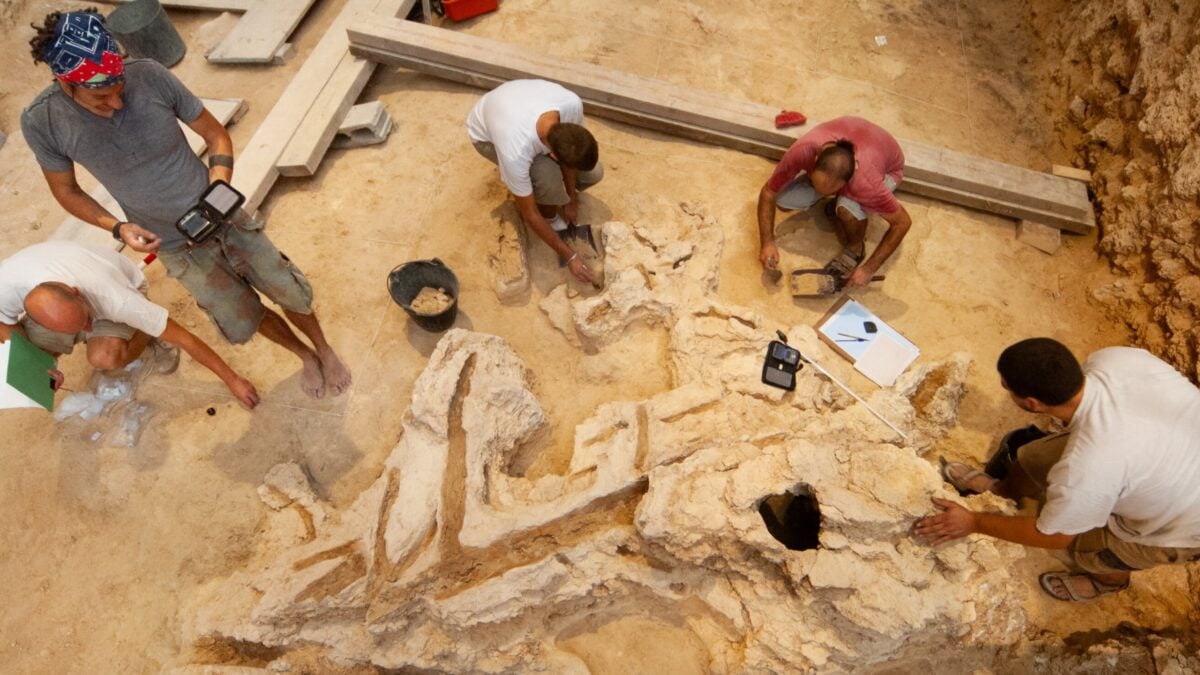 Archaeologists Uncover Unprecedented Evidence of Neanderthal Woodworking Skills