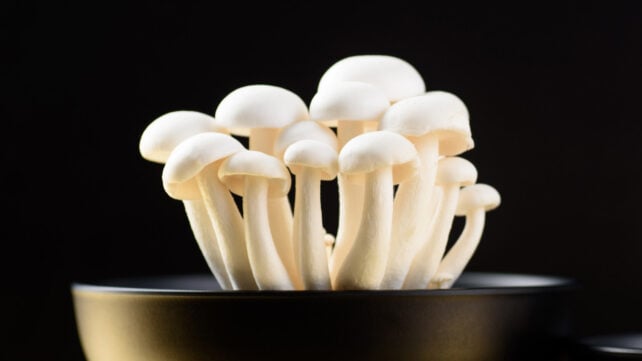 Adding 1 Mushroom-Derived Molecule to Salt Can Make It Taste 71% Saltier