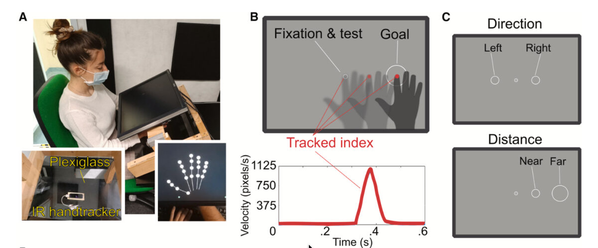 A participant seated at the experimental apparatus, alongside diagrams showing finger tracking and left–right or near–far targets.