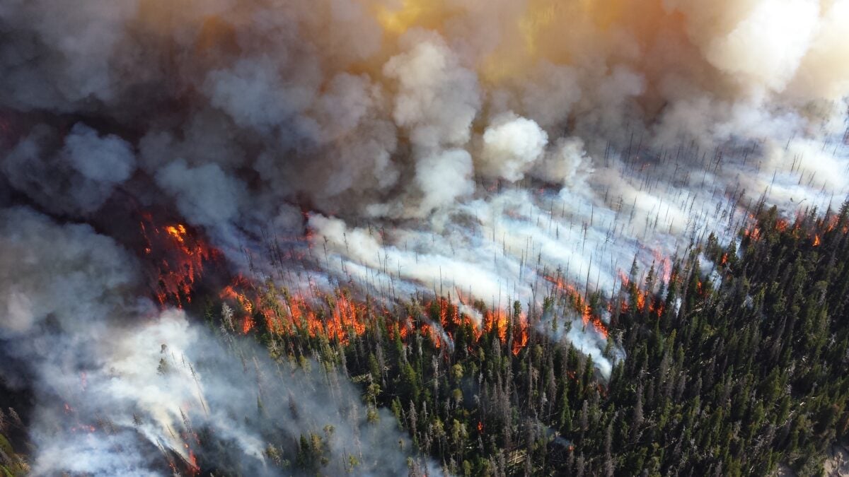 Alder wildfire in Yellowstone seen from above in 2013