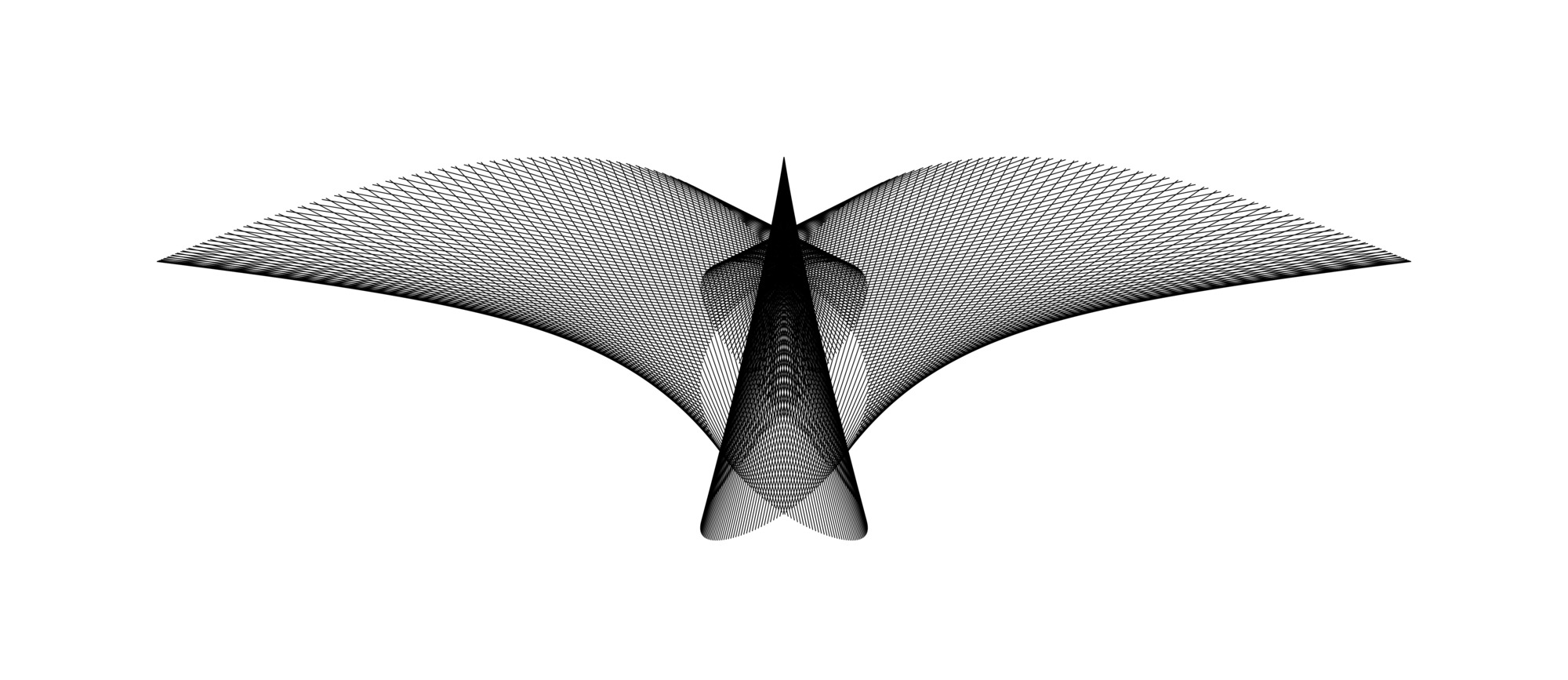 A Bird in Flight