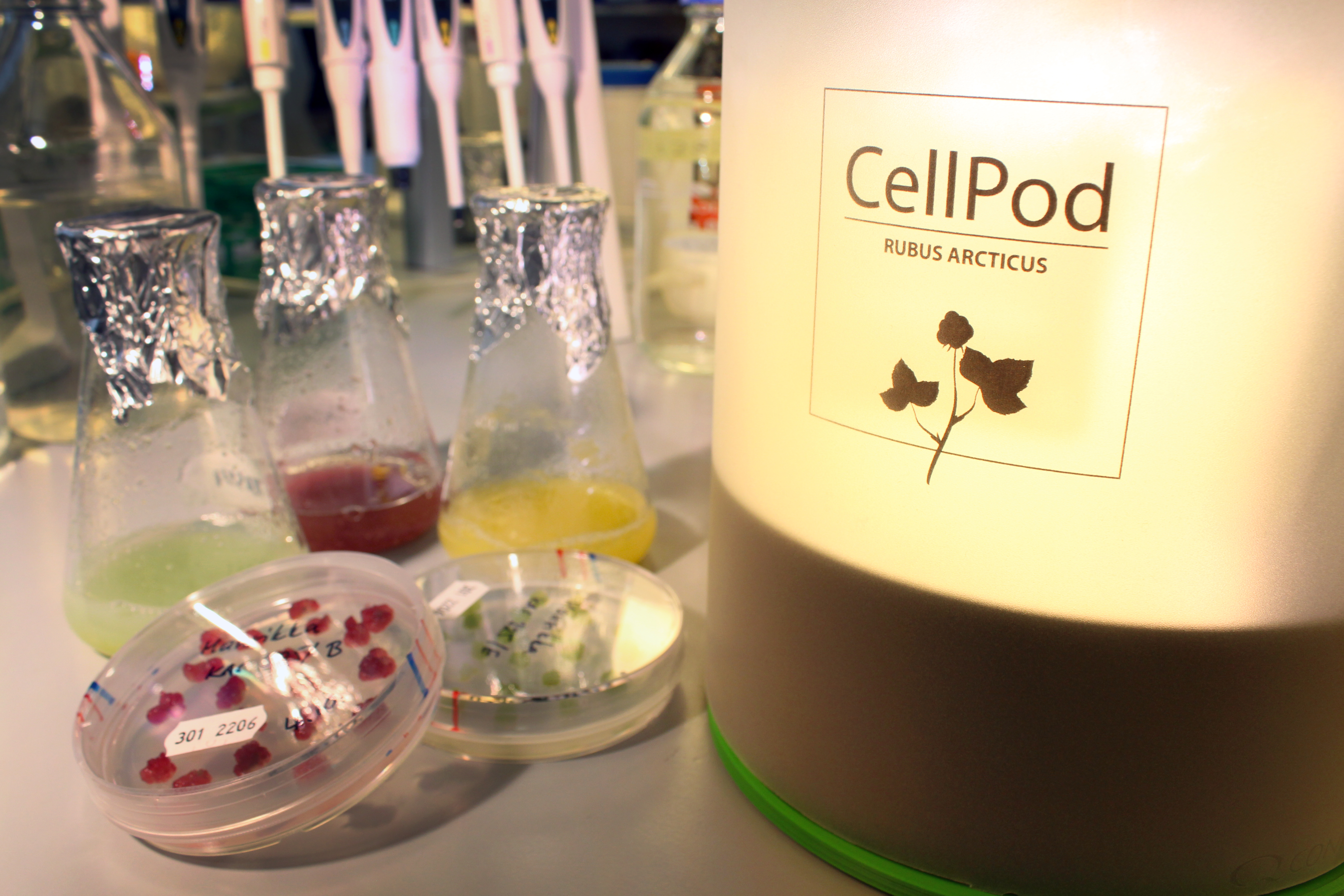 CellPodBody2